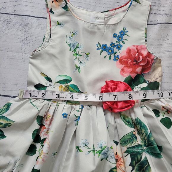 Pippa & Julie Size 3T Floral Off-White Lined Party Dress Flower Sleeveless Twee - Picture 3 of 7